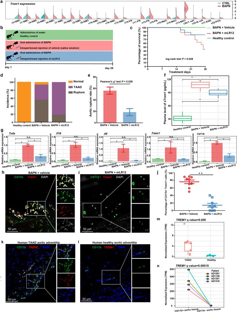 https://cdn.ncbi.nlm.nih.gov/pmc/blobs/41dd/8821555/7bf7812e9b5d/41421_2021_362_Fig7_HTML.jpg