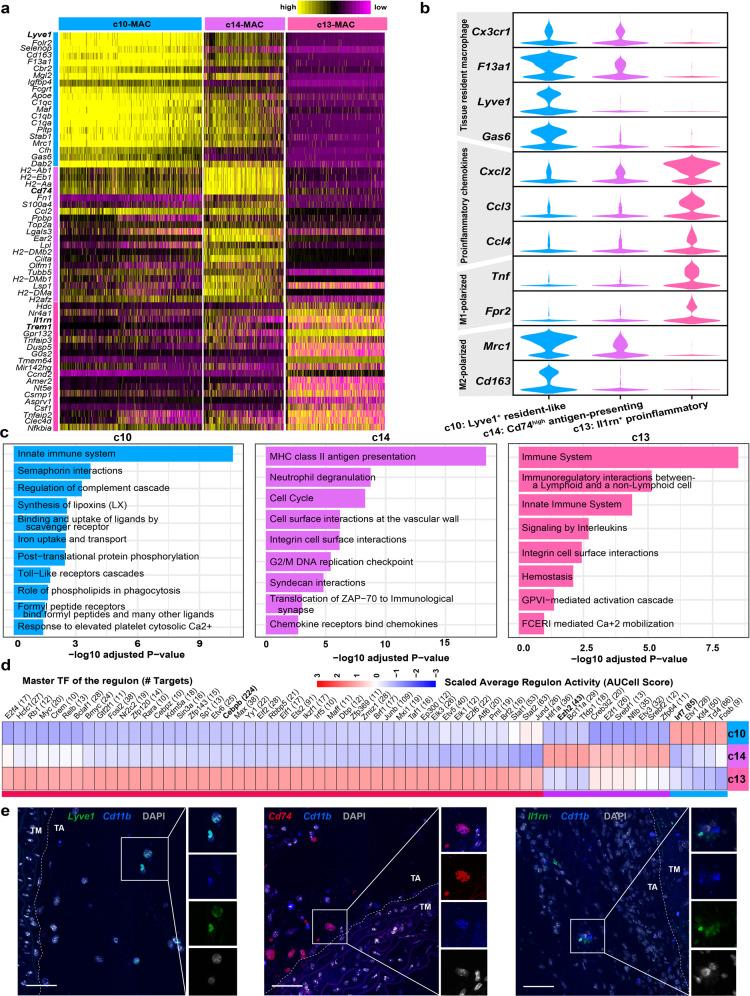 https://cdn.ncbi.nlm.nih.gov/pmc/blobs/41dd/8821555/fe90613e16ca/41421_2021_362_Fig5_HTML.jpg