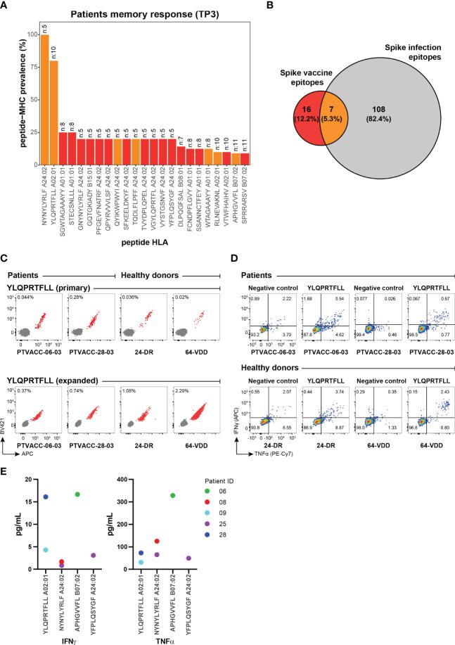 https://cdn.ncbi.nlm.nih.gov/pmc/blobs/41dd/9873231/1fcf3424d5f5/fimmu-13-1035344-g004.jpg