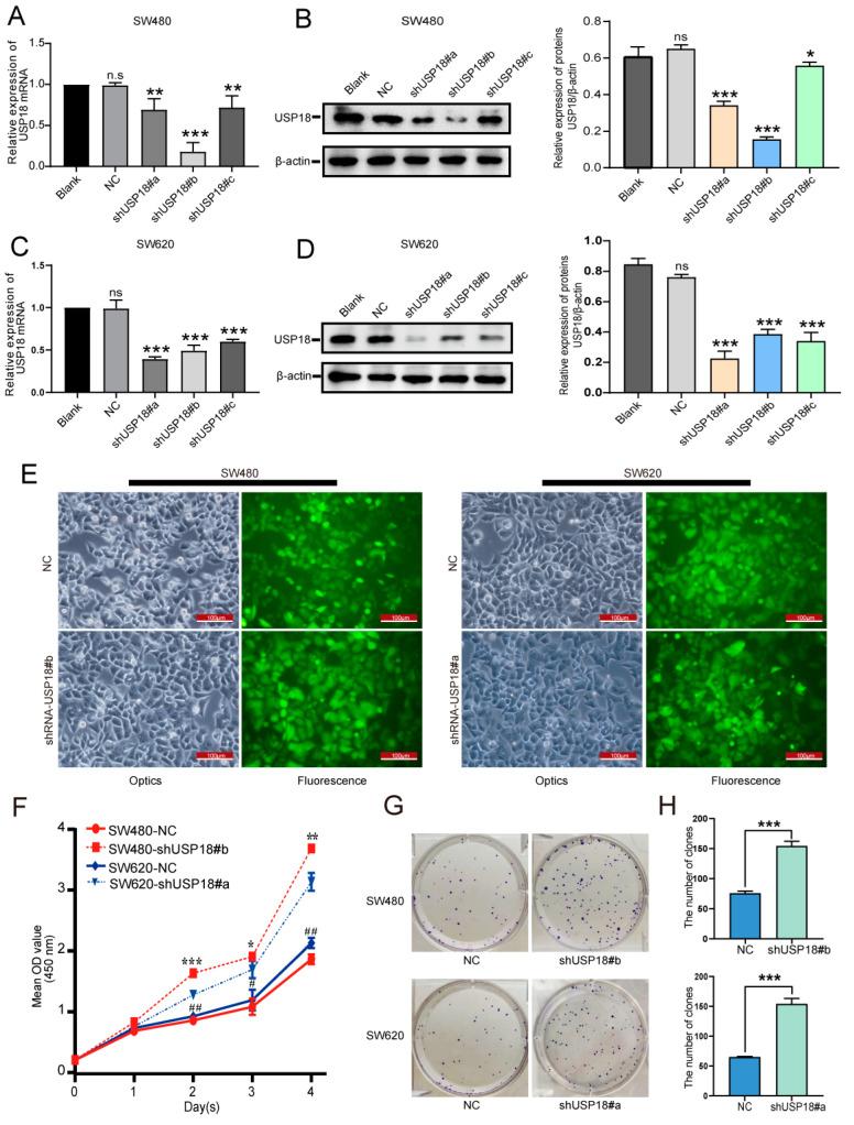 https://cdn.ncbi.nlm.nih.gov/pmc/blobs/41df/11430364/315d235c2c5d/biomolecules-14-01191-g003.jpg