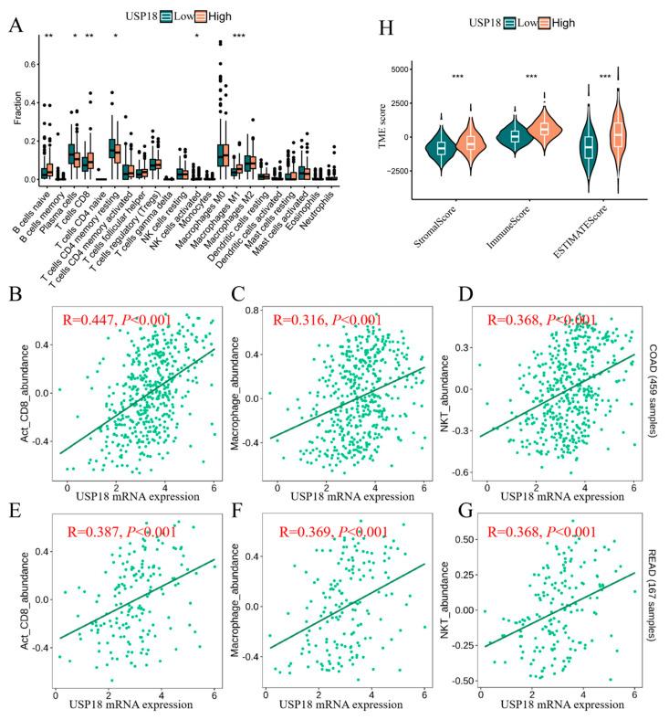 https://cdn.ncbi.nlm.nih.gov/pmc/blobs/41df/11430364/84d487066a86/biomolecules-14-01191-g005.jpg