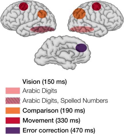 https://cdn.ncbi.nlm.nih.gov/pmc/blobs/41e0/548951/0f3d147f7750/pbio.0030051.g002.jpg