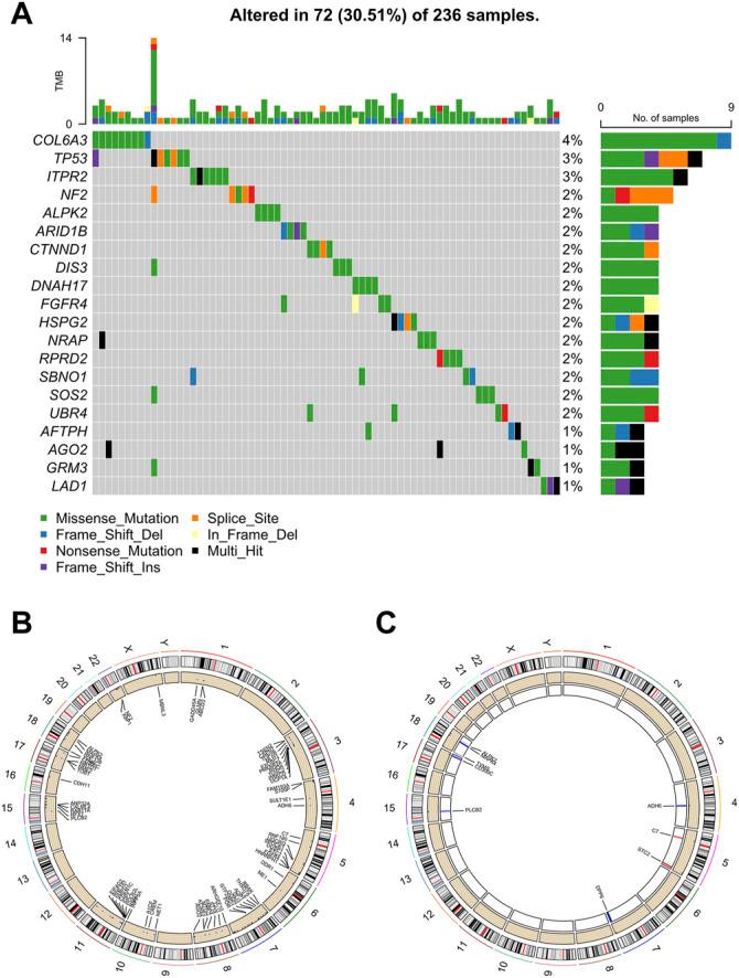 https://cdn.ncbi.nlm.nih.gov/pmc/blobs/41e1/9160722/59b6e70d62ba/fcell-10-816024-g002.jpg