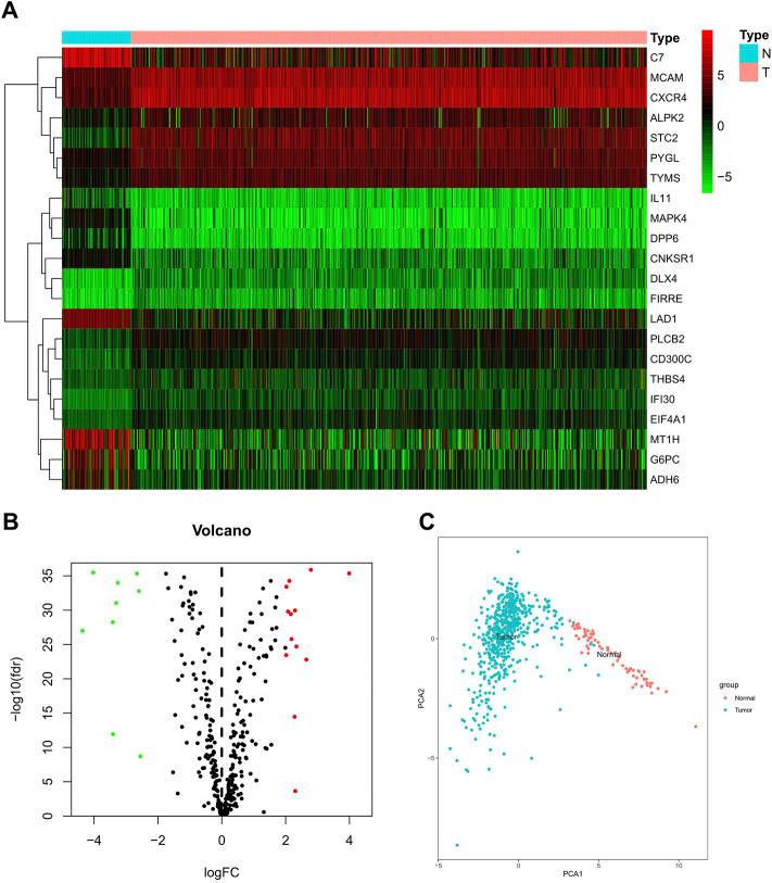 https://cdn.ncbi.nlm.nih.gov/pmc/blobs/41e1/9160722/9632eab3d82a/fcell-10-816024-g001.jpg