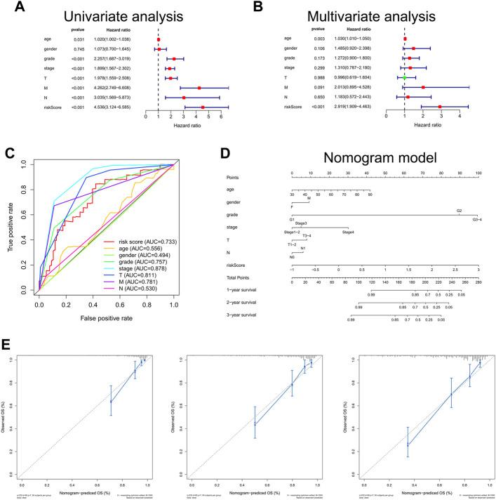 https://cdn.ncbi.nlm.nih.gov/pmc/blobs/41e1/9160722/cb92b8673203/fcell-10-816024-g004.jpg
