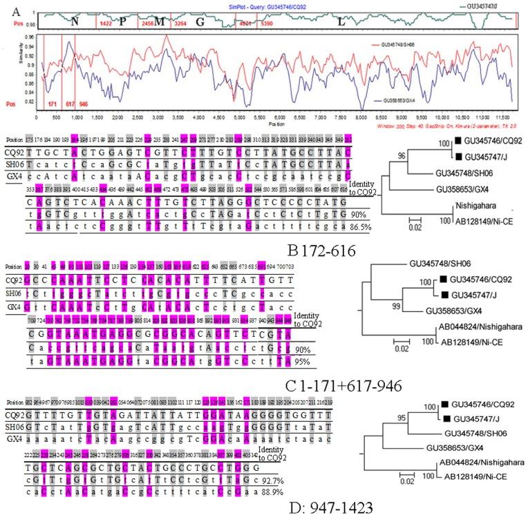 https://cdn.ncbi.nlm.nih.gov/pmc/blobs/41e3/3514186/45c1c52952d8/pone.0049992.g002.jpg