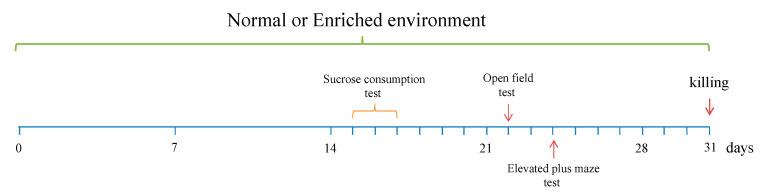 https://cdn.ncbi.nlm.nih.gov/pmc/blobs/41e5/7690660/530315bda057/genes-11-01248-g001.jpg