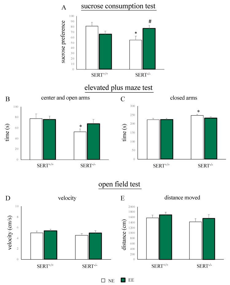 https://cdn.ncbi.nlm.nih.gov/pmc/blobs/41e5/7690660/a99b7984b7de/genes-11-01248-g002.jpg
