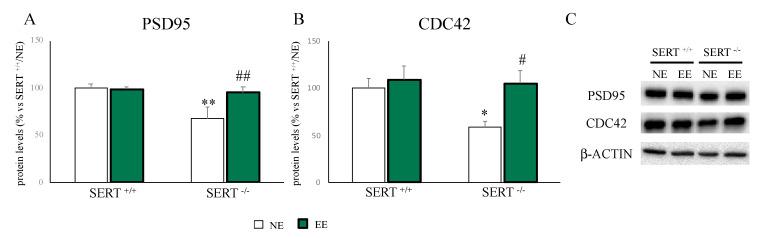 https://cdn.ncbi.nlm.nih.gov/pmc/blobs/41e5/7690660/c07b1ffeca44/genes-11-01248-g004.jpg