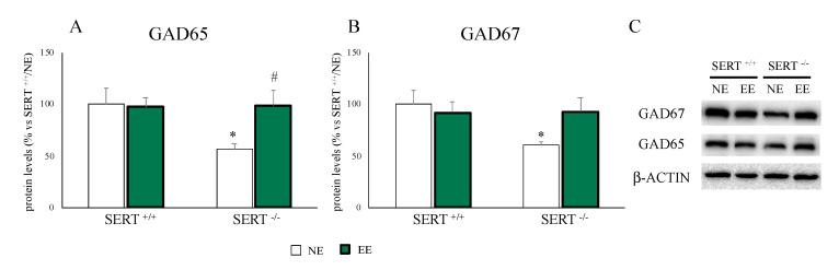 https://cdn.ncbi.nlm.nih.gov/pmc/blobs/41e5/7690660/dfa04c6dd3a9/genes-11-01248-g005.jpg