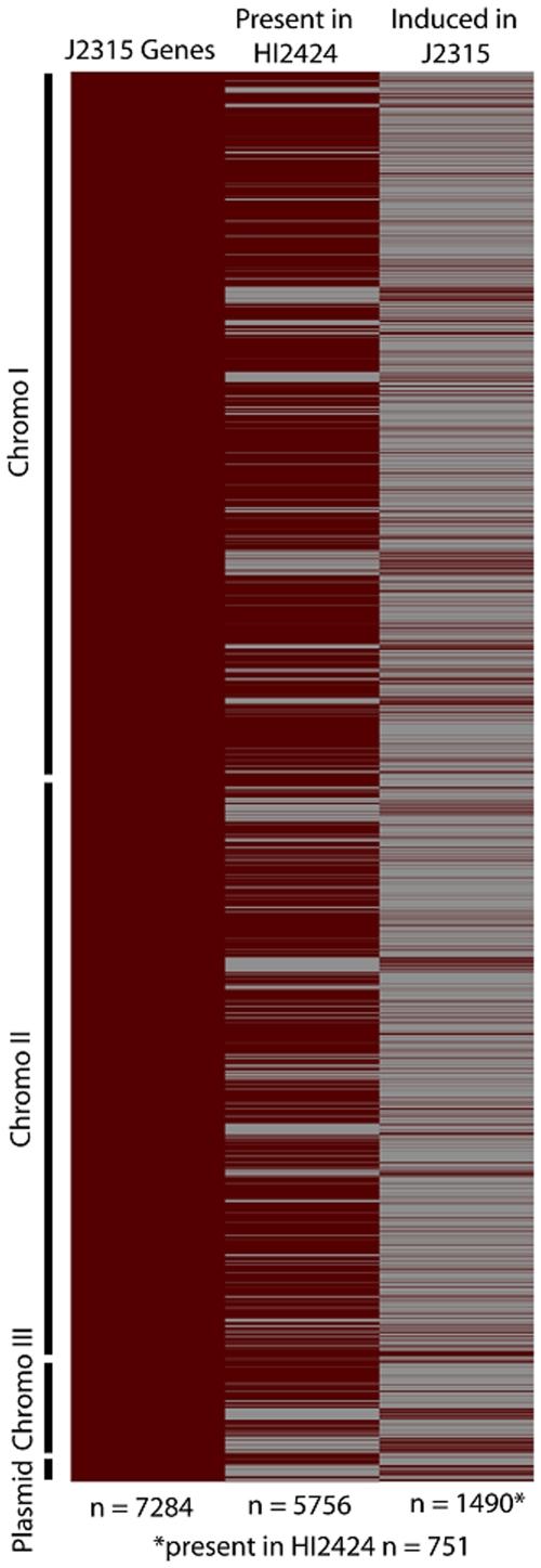 https://cdn.ncbi.nlm.nih.gov/pmc/blobs/41e6/2806911/9dfd526591c8/pone.0008724.g004.jpg