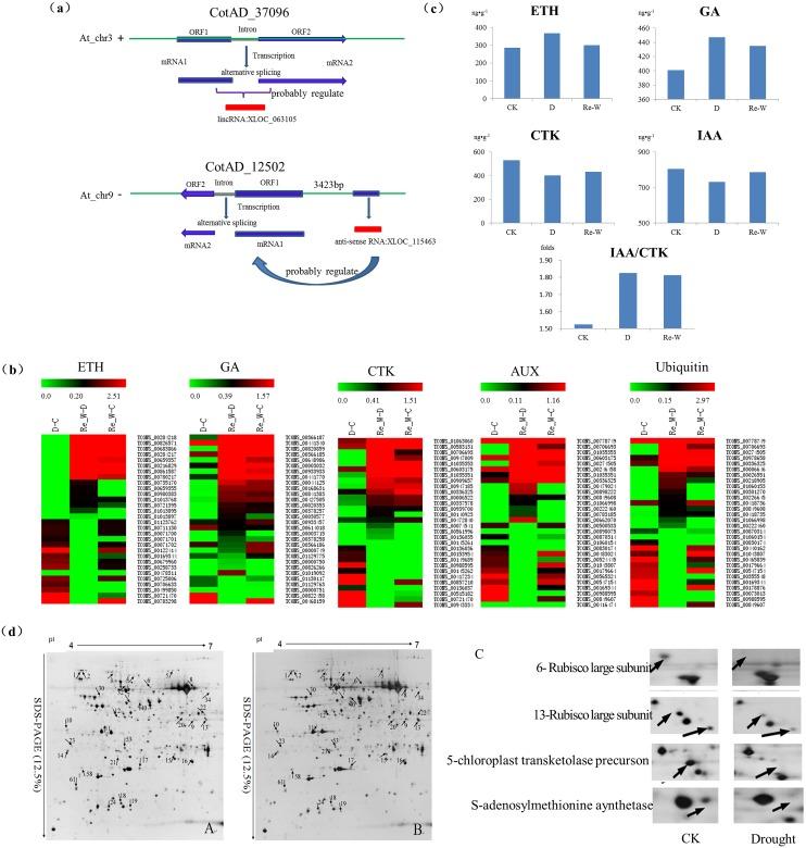 https://cdn.ncbi.nlm.nih.gov/pmc/blobs/41e7/4905672/856f47937497/pone.0156723.g006.jpg