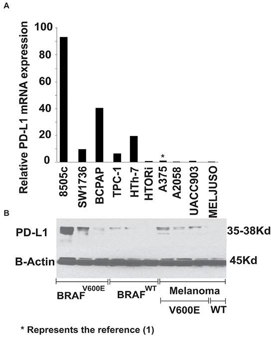 https://cdn.ncbi.nlm.nih.gov/pmc/blobs/41e8/4941380/6d1b09aca862/oncotarget-07-17194-g001.jpg