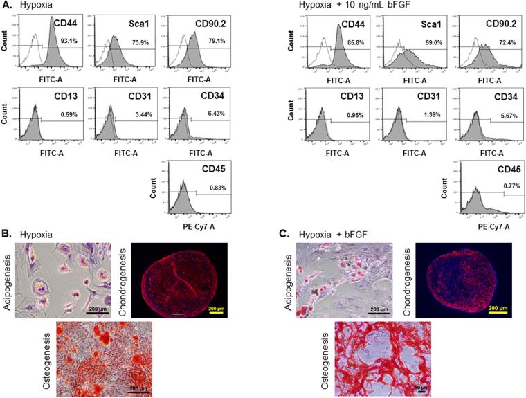 https://cdn.ncbi.nlm.nih.gov/pmc/blobs/41e8/5645326/82bfc998ee64/41598_2017_13477_Fig5_HTML.jpg