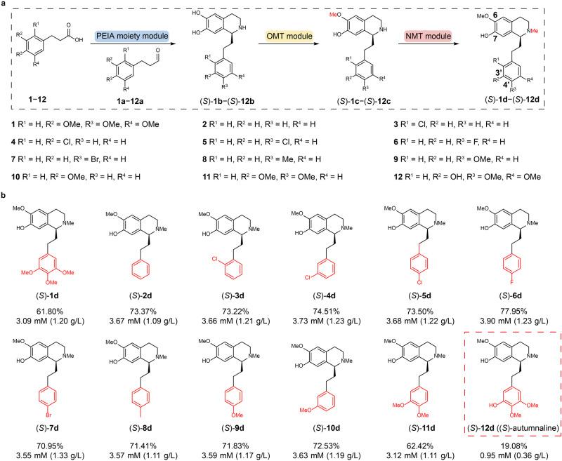 https://cdn.ncbi.nlm.nih.gov/pmc/blobs/41e9/10761944/f4b199c7fec9/41467_2023_44420_Fig5_HTML.jpg