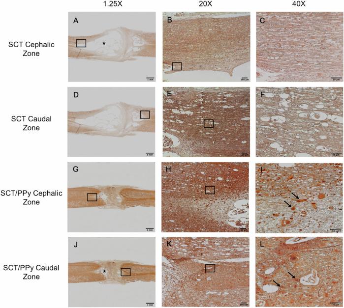 https://cdn.ncbi.nlm.nih.gov/pmc/blobs/41eb/11832569/1e3448516a85/10856_2025_6862_Fig9_HTML.jpg