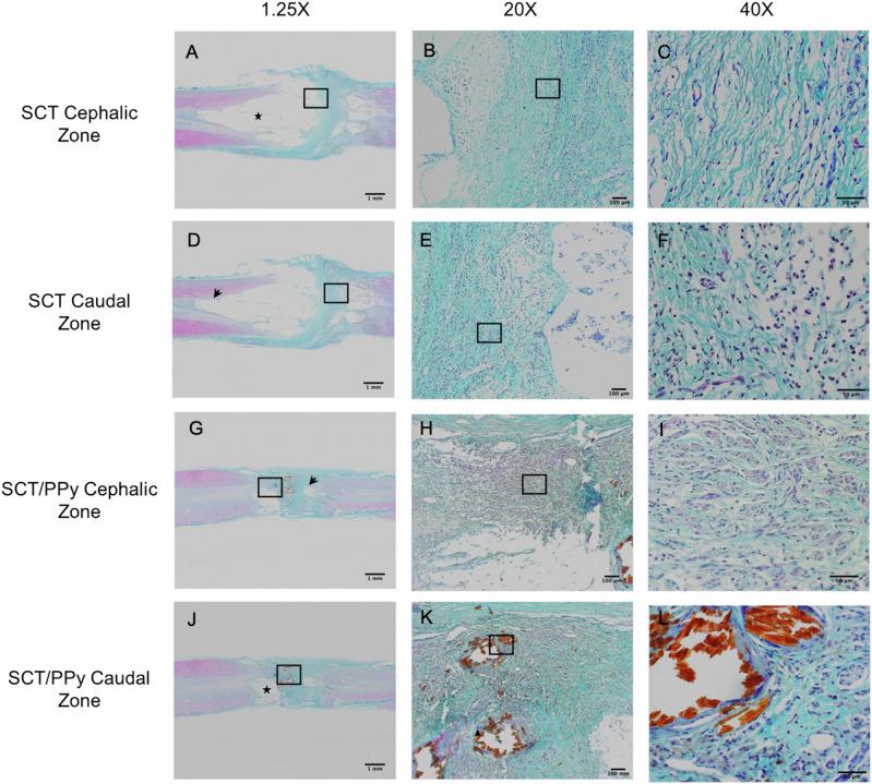 https://cdn.ncbi.nlm.nih.gov/pmc/blobs/41eb/11832569/54c341f789a3/10856_2025_6862_Fig8_HTML.jpg