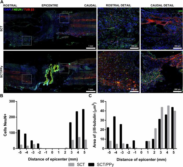 https://cdn.ncbi.nlm.nih.gov/pmc/blobs/41eb/11832569/5607468ebab1/10856_2025_6862_Fig10_HTML.jpg