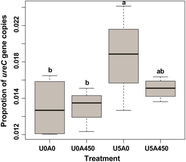 https://cdn.ncbi.nlm.nih.gov/pmc/blobs/41ec/4923134/3bafe136f048/fmicb-07-01006-g0002.jpg