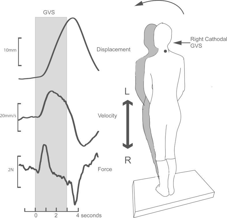 https://cdn.ncbi.nlm.nih.gov/pmc/blobs/41ef/3745707/6bc6e439fa07/gr1.jpg