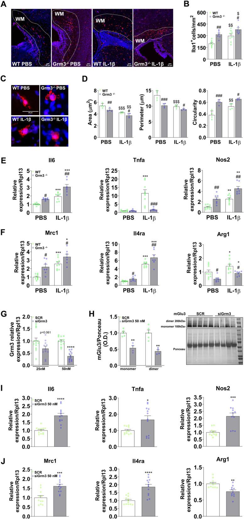 https://cdn.ncbi.nlm.nih.gov/pmc/blobs/41ef/7789385/1a53436cac62/12974_2020_2049_Fig5_HTML.jpg