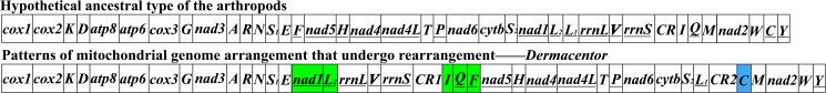 https://cdn.ncbi.nlm.nih.gov/pmc/blobs/41f0/10268159/182e0b76e24e/S0031182022001639_fig4.jpg