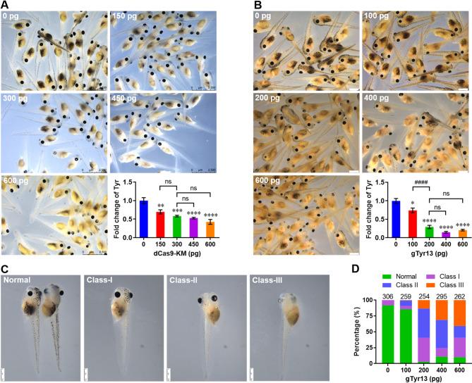 https://cdn.ncbi.nlm.nih.gov/pmc/blobs/41f0/12020200/0ae8cd63a4ee/13578_2025_1397_Fig6_HTML.jpg