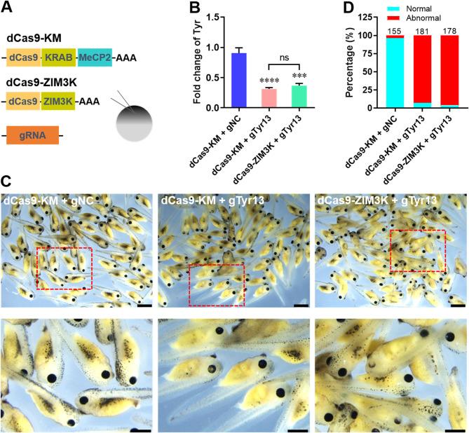 https://cdn.ncbi.nlm.nih.gov/pmc/blobs/41f0/12020200/e107e605c352/13578_2025_1397_Fig7_HTML.jpg