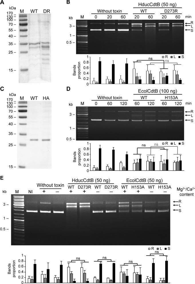 https://cdn.ncbi.nlm.nih.gov/pmc/blobs/41f1/6438463/024909b2eed3/pone.0214313.g002.jpg
