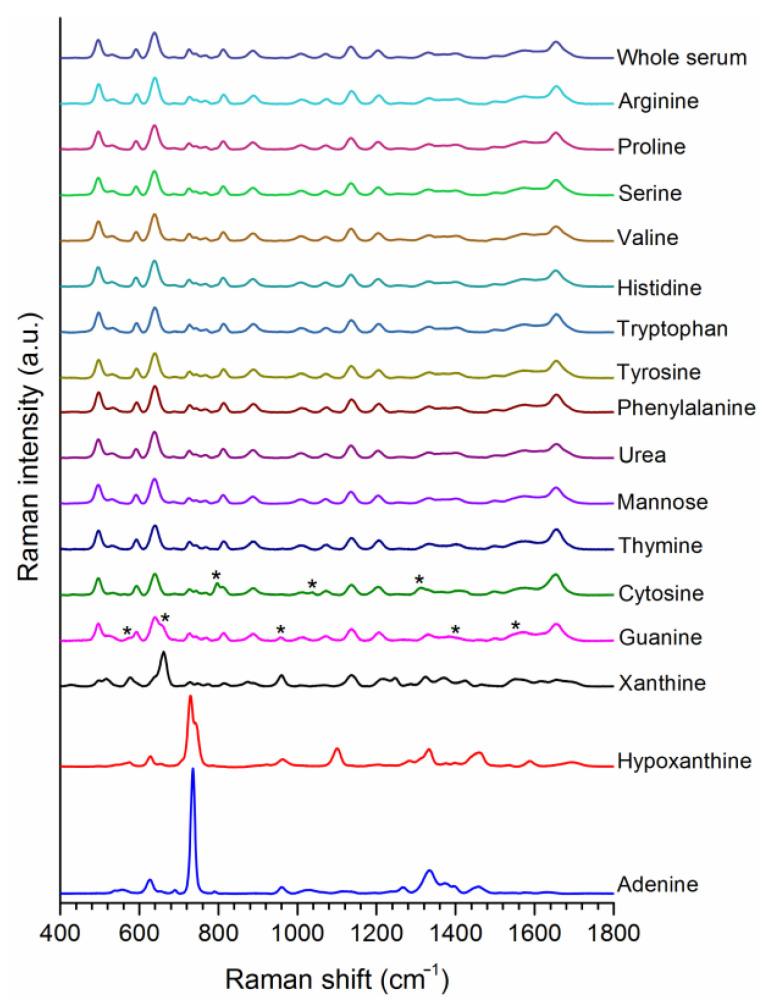 https://cdn.ncbi.nlm.nih.gov/pmc/blobs/41f2/9600112/51566b9d5a53/cancers-14-05021-g001.jpg