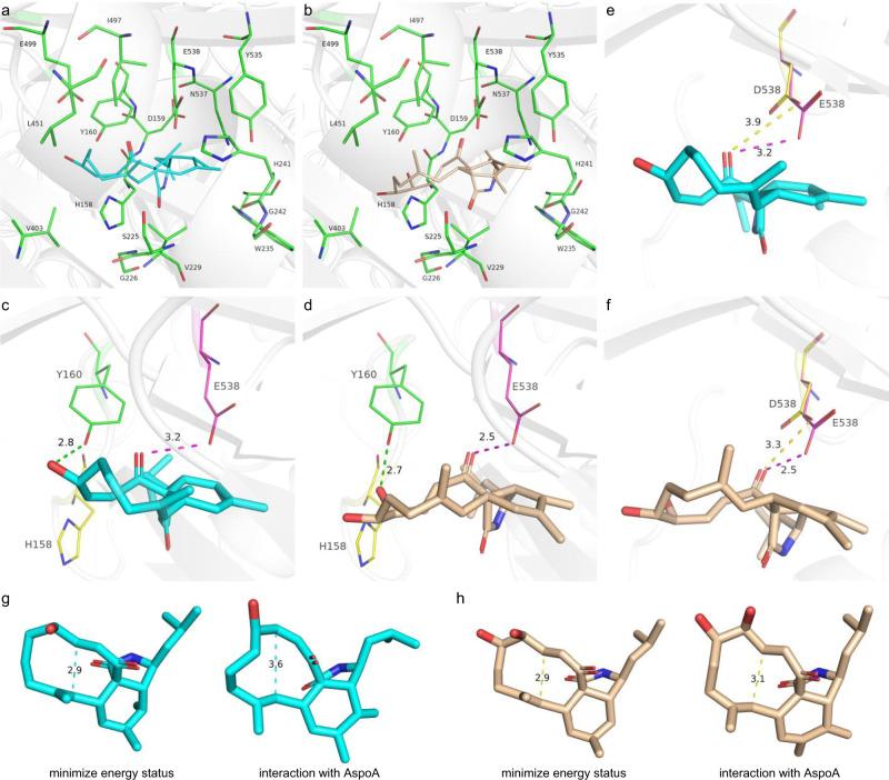 https://cdn.ncbi.nlm.nih.gov/pmc/blobs/41f5/8752850/09a7373204e0/41467_2021_27931_Fig6_HTML.jpg