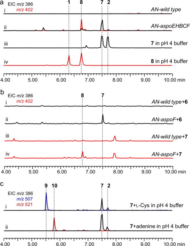 https://cdn.ncbi.nlm.nih.gov/pmc/blobs/41f5/8752850/29c4d4dd5214/41467_2021_27931_Fig4_HTML.jpg