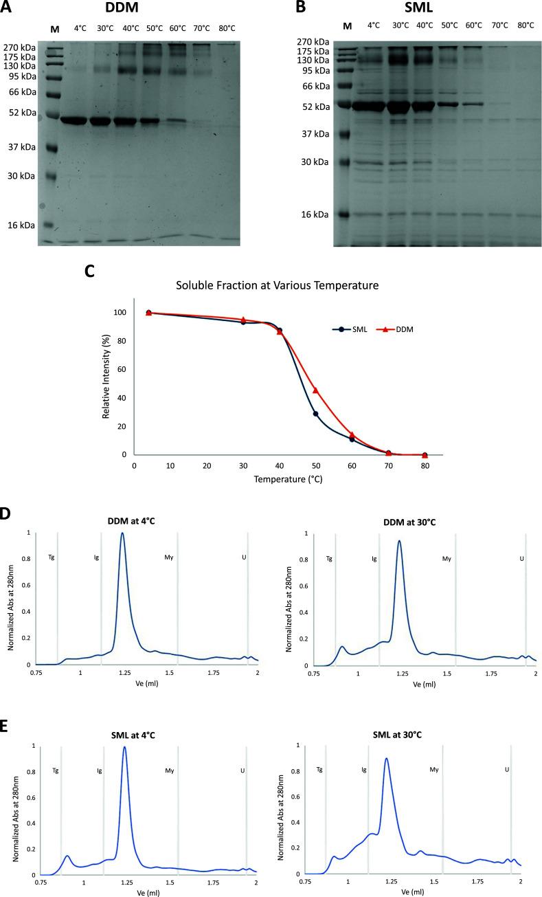 https://cdn.ncbi.nlm.nih.gov/pmc/blobs/41f6/11348468/454c9f368d0e/PPL-31-386_F5.jpg