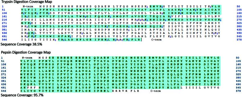 https://cdn.ncbi.nlm.nih.gov/pmc/blobs/41f6/11348468/ed997eec8fcc/PPL-31-386_F3.jpg