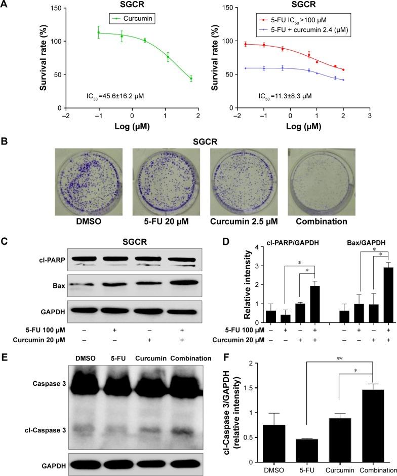 https://cdn.ncbi.nlm.nih.gov/pmc/blobs/41f6/5147405/26584a4bc018/ott-9-7373Fig2.jpg