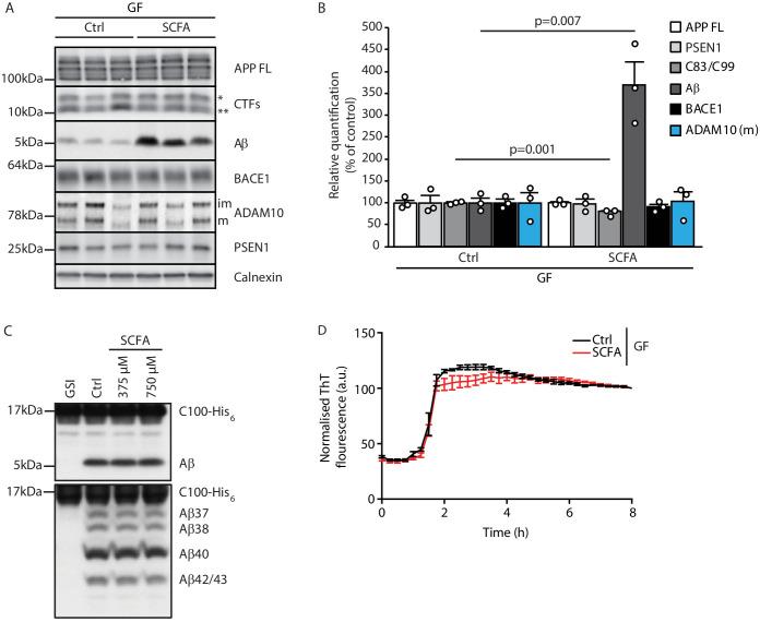 https://cdn.ncbi.nlm.nih.gov/pmc/blobs/41f7/8043748/06e3d12039e8/elife-59826-fig3.jpg