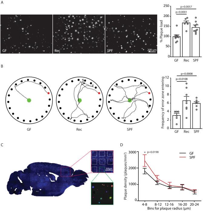 https://cdn.ncbi.nlm.nih.gov/pmc/blobs/41f7/8043748/224bf3a97106/elife-59826-fig1.jpg