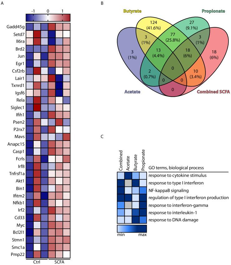 https://cdn.ncbi.nlm.nih.gov/pmc/blobs/41f7/8043748/563436ce4b9e/elife-59826-fig5-figsupp1.jpg