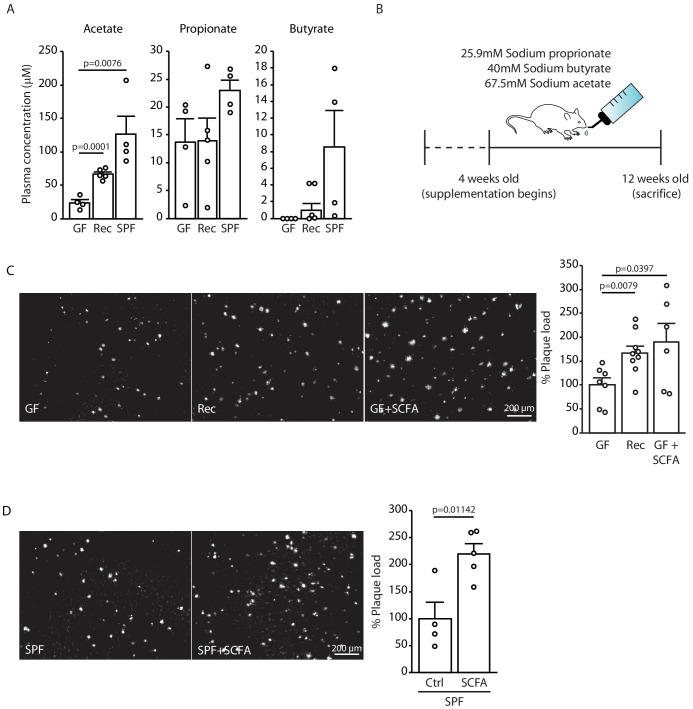 https://cdn.ncbi.nlm.nih.gov/pmc/blobs/41f7/8043748/9527e3b15e71/elife-59826-fig2.jpg