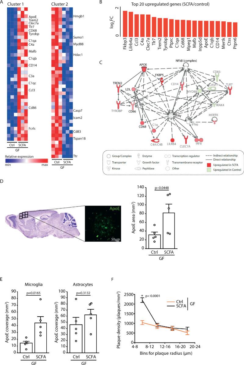 https://cdn.ncbi.nlm.nih.gov/pmc/blobs/41f7/8043748/ca5574f6f57d/elife-59826-fig5.jpg