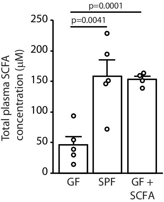 https://cdn.ncbi.nlm.nih.gov/pmc/blobs/41f7/8043748/f2aa94e86c07/elife-59826-fig2-figsupp1.jpg
