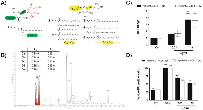 https://cdn.ncbi.nlm.nih.gov/pmc/blobs/41f8/5524952/512f3e0f6cea/41598_2017_5969_Fig1_HTML.jpg