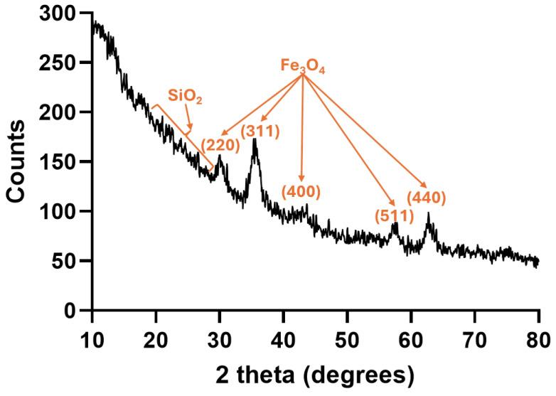 https://cdn.ncbi.nlm.nih.gov/pmc/blobs/41f9/12191947/b1749b2ab3ac/gels-11-00463-g003.jpg