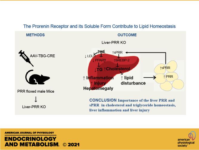 https://cdn.ncbi.nlm.nih.gov/pmc/blobs/41f9/7988779/ecc8c6299b26/E-00135-2020r01.jpg