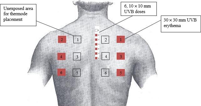 https://cdn.ncbi.nlm.nih.gov/pmc/blobs/41fa/6590423/5ffe443a2af6/EJP-23-874-g003.jpg