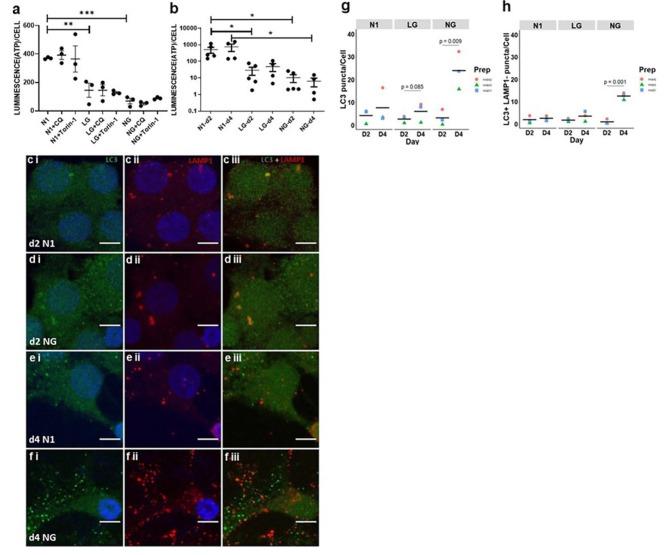https://cdn.ncbi.nlm.nih.gov/pmc/blobs/41fb/10320974/01530d9c17f3/40478_2023_1601_Fig2_HTML.jpg