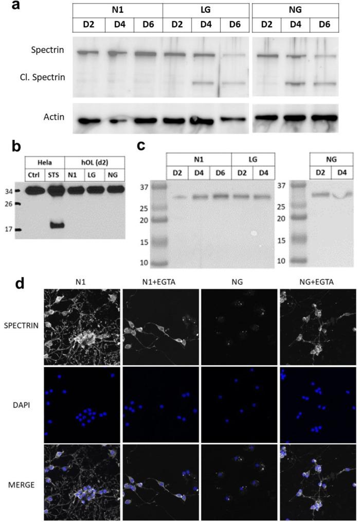 https://cdn.ncbi.nlm.nih.gov/pmc/blobs/41fb/10320974/3c1d6647dc14/40478_2023_1601_Fig6_HTML.jpg