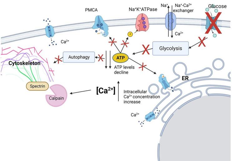 https://cdn.ncbi.nlm.nih.gov/pmc/blobs/41fb/10320974/d5060a45c84f/40478_2023_1601_Fig8_HTML.jpg