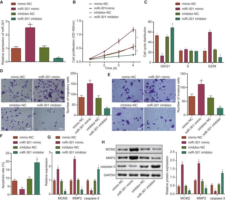 https://cdn.ncbi.nlm.nih.gov/pmc/blobs/41fd/8313741/6882a5c9e346/gr3.jpg