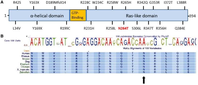 https://cdn.ncbi.nlm.nih.gov/pmc/blobs/4202/11298691/c9eeb10650b2/luae125f6.jpg